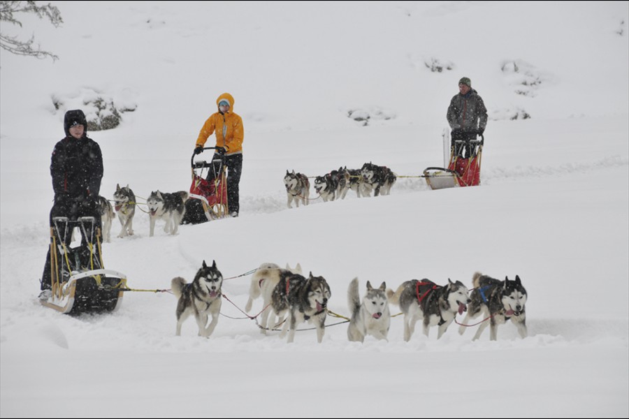 Husky-Event erlebniswelt muotathal gmbh